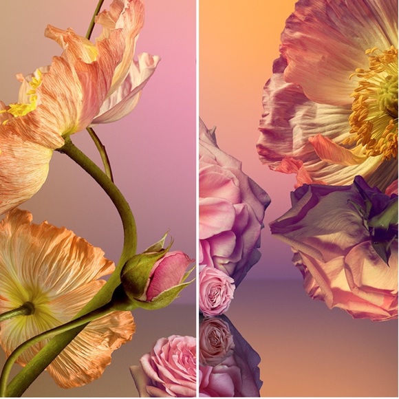 ELEMIS DELICATE AND DIVINE ROSE DUO - BNIB - Picture 4 of 7